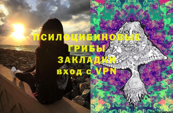 ПСИЛОЦИБИНОВЫЕ ГРИБЫ Алексин