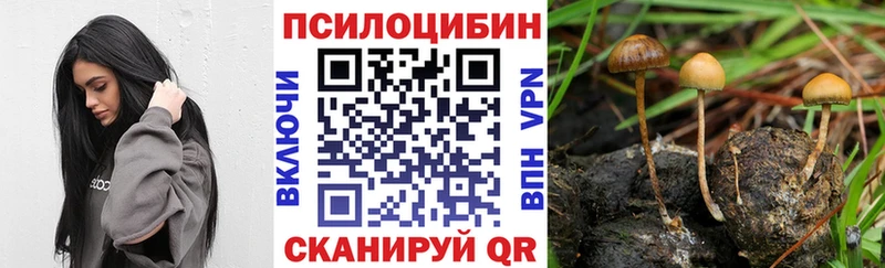 Псилоцибиновые грибы прущие грибы  Себеж 